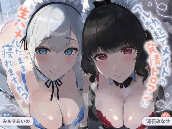 【ALL無声音】フル勃起でメイドの発情トロマンに生ハメしたまま寝れますか？【スローセックス/ずっと生ハメ】