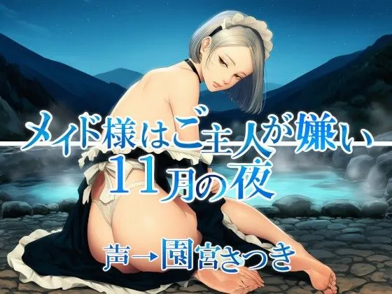 メイド様はご主人が嫌い  11月の夜