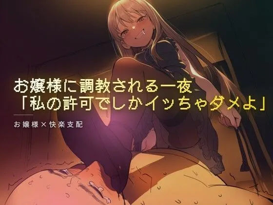 お嬢様に調教される一夜