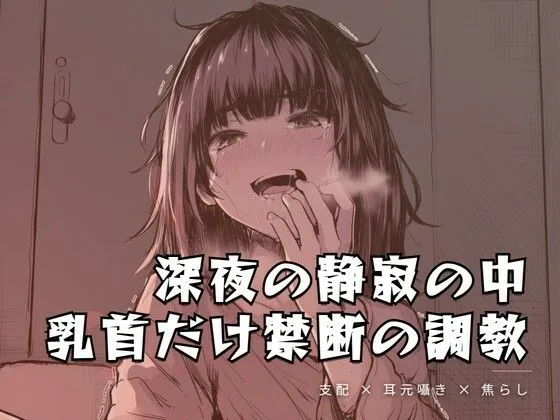 深夜の静寂の中、乳首だけを嬲る禁断の調教