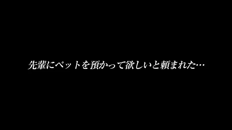 日泉舞香 先輩に預かってほしいと頼まれたペットはイラマ好きのM女…。ビールとわかめおにぎりも好き…無口な舞香と無口なボクの一泊二日の同居性活 サンプル1